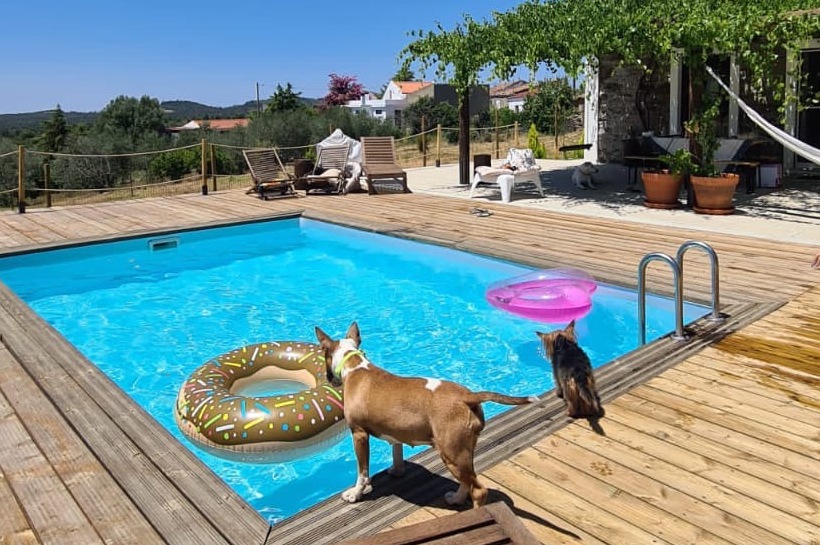 Alojamento Pet-friendly