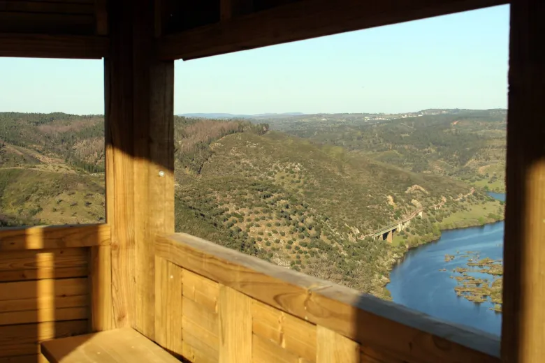 Alojamento pet-friendly | Observatorio Avifauna Outeiro