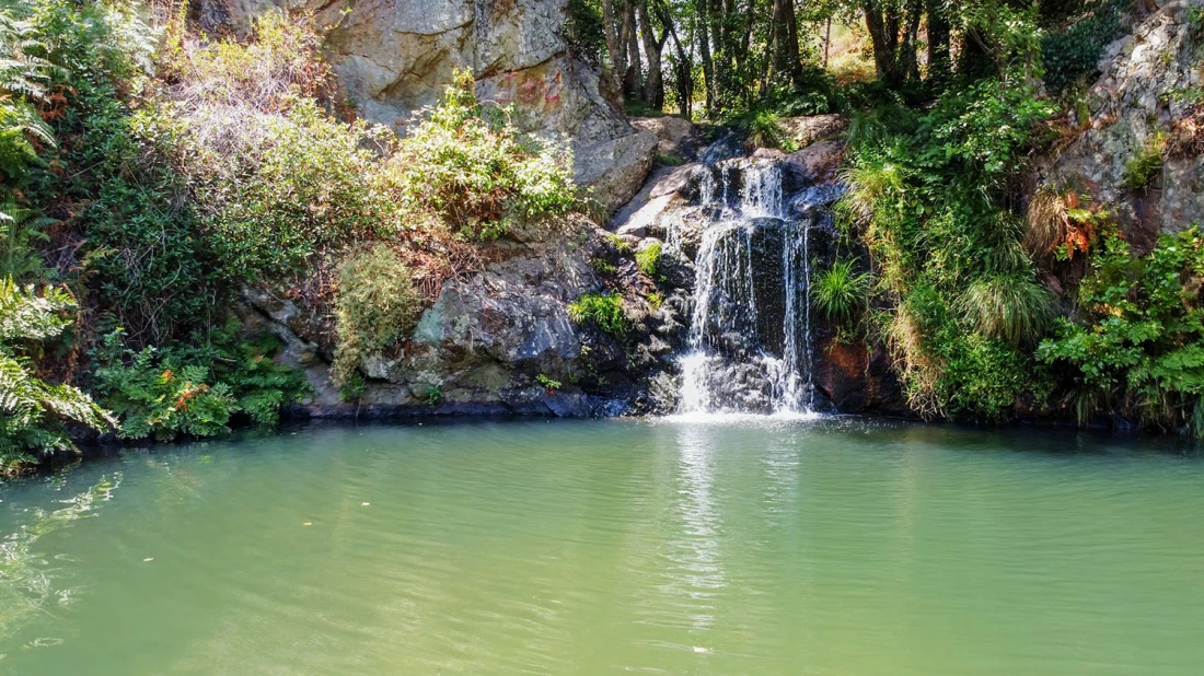 Alojamento pet-friendly | Pego da Rainha