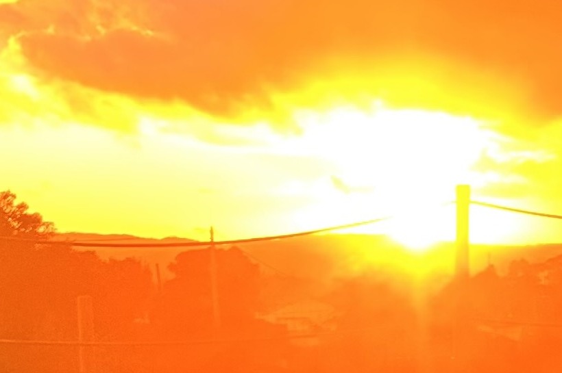 Alojamento Pet-friendly