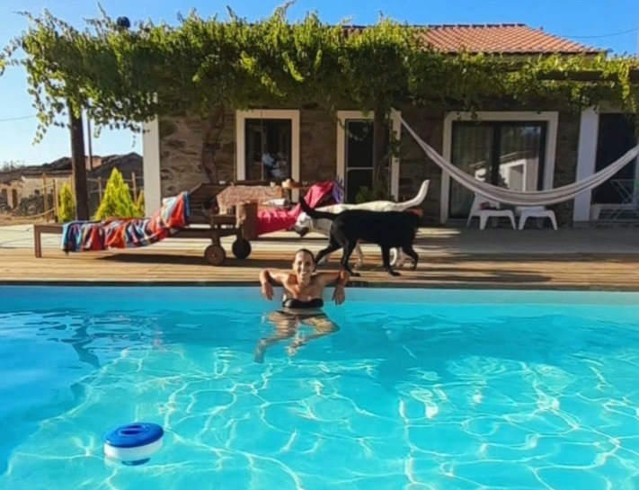 Alojamento Pet-friendly